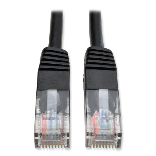 138613682.jpg