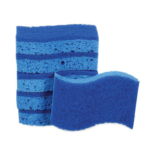 Non-scratch Multi-purpose Scrub Sponge, 4.4 X 2.6, 0.8" Thick, Blue, 6/pack
