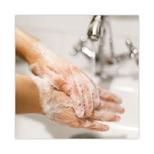 Basics Mp Free Liquid Hand Soap, Unscented, 7.5 Oz Pump Bottle, 12/carton