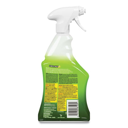 Lime, Calcium And Rust Remover, 22 Oz Spray Bottle