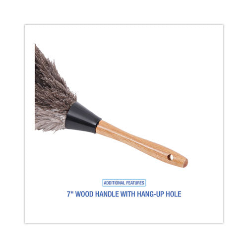 Professional Ostrich Feather Duster, 7" Handle