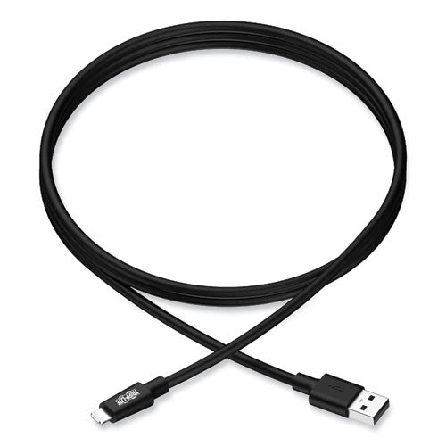 Apple Lightning To Usb Cable, 10 Ft, Black