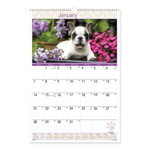 Puppies Monthly Wall Calendar, Puppies Photography, 15.5 X 22.75, White/multicolor Sheets, 12-month (jan To Dec): 2024