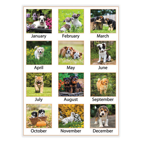 Puppies Monthly Wall Calendar, Puppies Photography, 15.5 X 22.75, White/multicolor Sheets, 12-month (jan To Dec): 2024