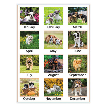 Puppies Monthly Wall Calendar, Puppies Photography, 15.5 X 22.75, White/multicolor Sheets, 12-month (jan To Dec): 2024