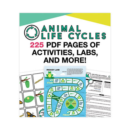 In A Flash Usb, Animal Lifestyles, Ages 5-8, 225 Pages