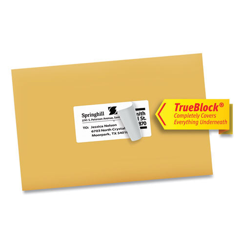 Shipping Labels W/ Trueblock Technology, Inkjet Printers, 2 X 4, White, 10/sheet, 100 Sheets/box