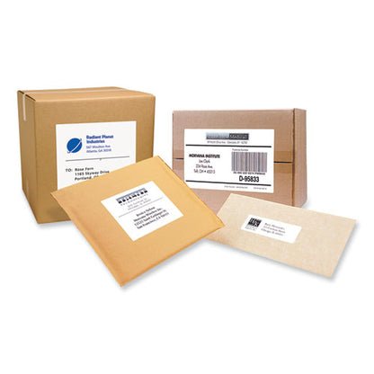 Labels, Laser Printers, 2 X 4, White, 10/sheet, 100 Sheets/box