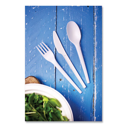 White Cpla Cutlery, Spoon, 1,000/carton