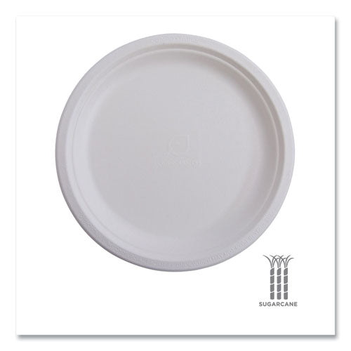 Vanguard Renewable And Compostable Sugarcane Plates, 6" Dia, White, 1,000/carton