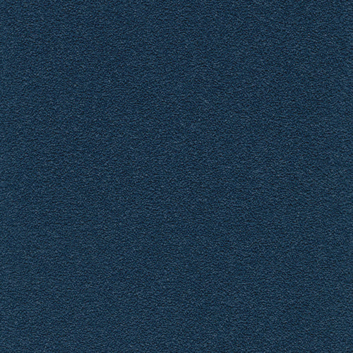 239423810.jpg