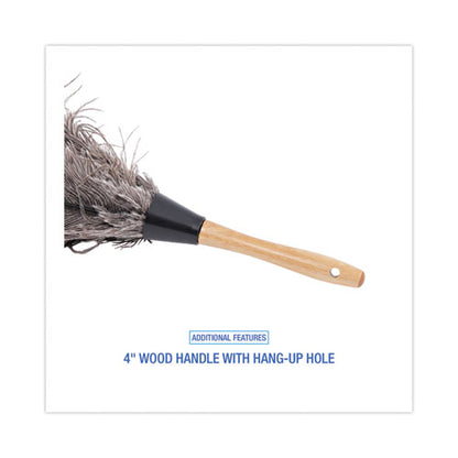 Professional Ostrich Feather Duster, 4" Handle
