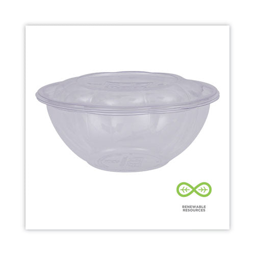 Renewable And Compostable Salad Bowls With Lids, 24 Oz, Clear, Plastic, 50/pack, 3 Packs/carton